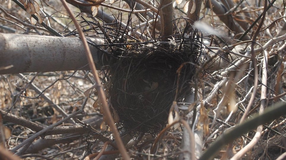 Fot. Rada Osiedla Umultowo