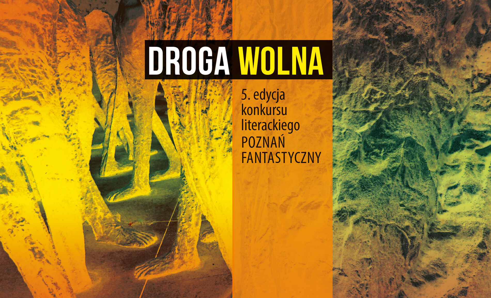 Fot. materiały organizatorów - grafika artykułu