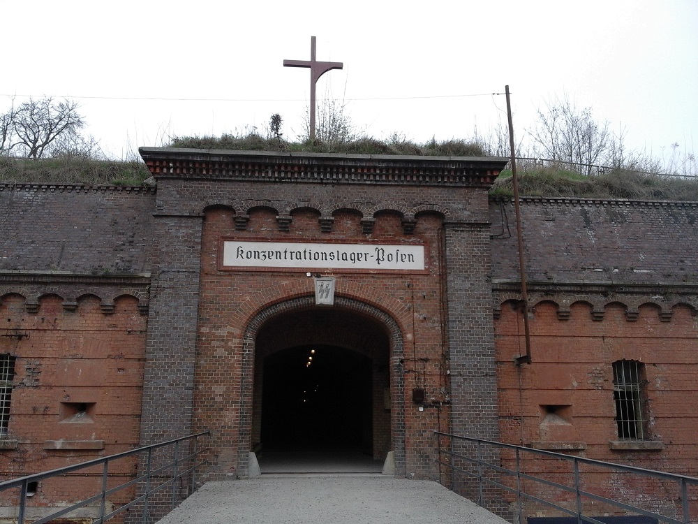 Fot. Mateusz Malinowski - grafika artykułu