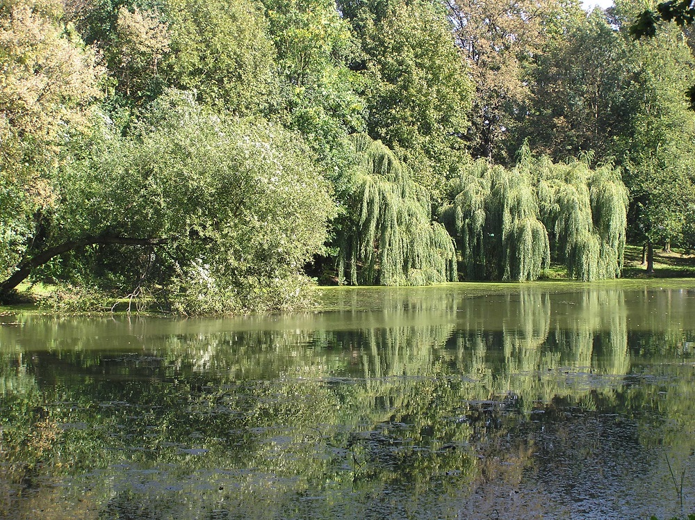 Fot. Mateusz Malinowski - grafika artykułu