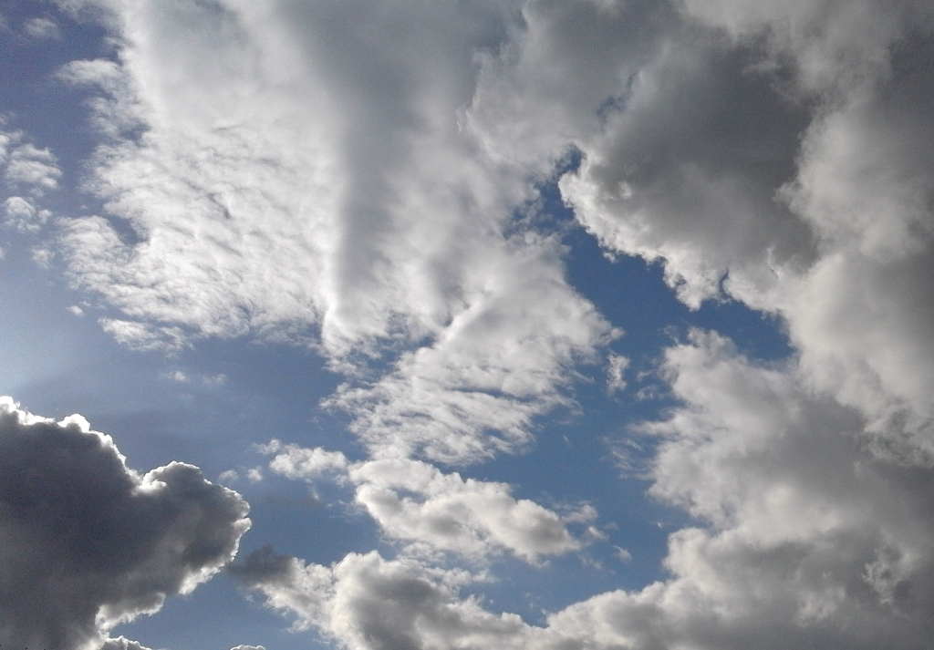 Fot. Mateusz Malinowski - grafika artykułu