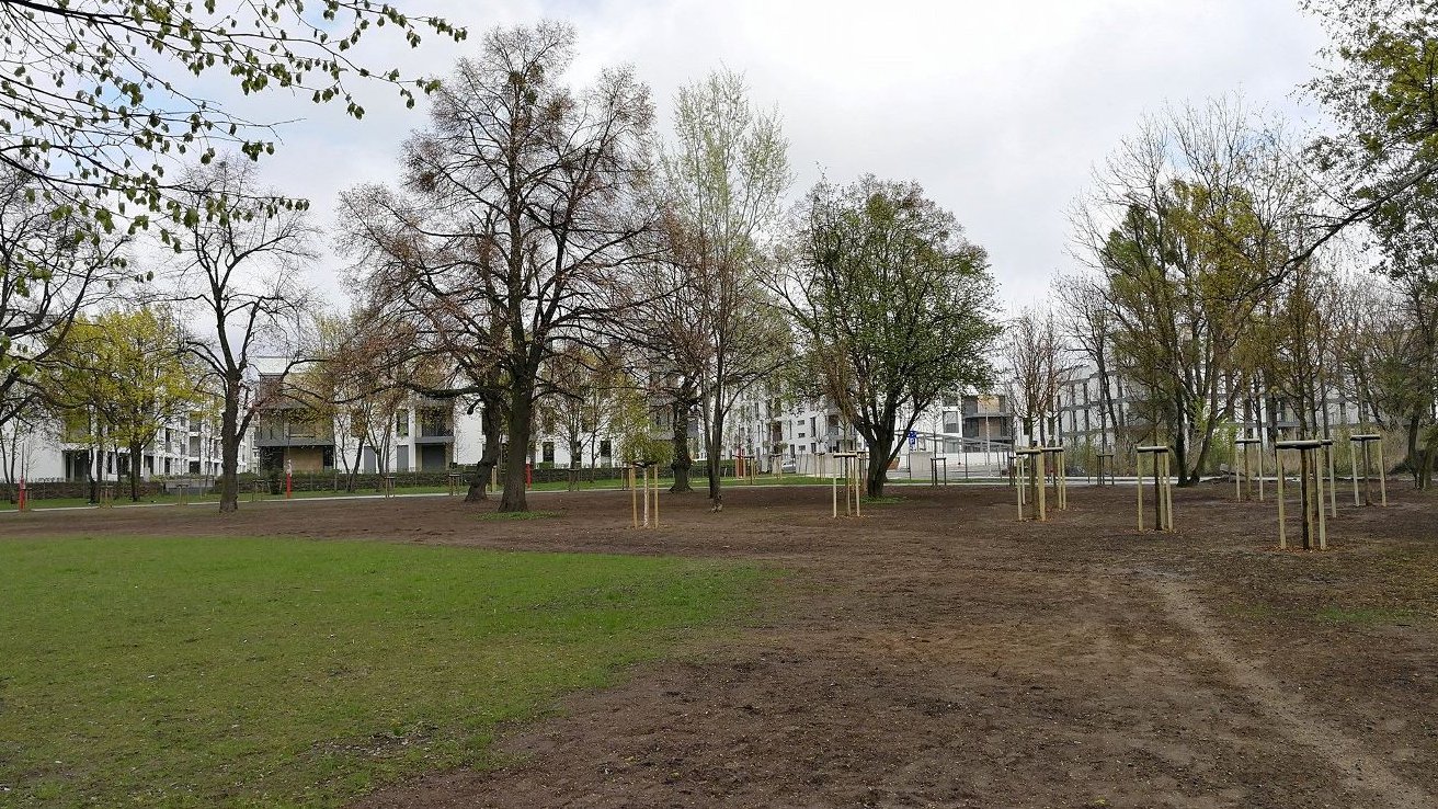 Budowa Parku Heweliusza, fot. Maciej Wudarski