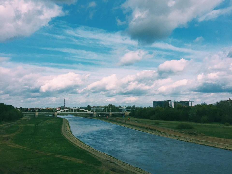 Fot. materiały organizatorów - grafika artykułu