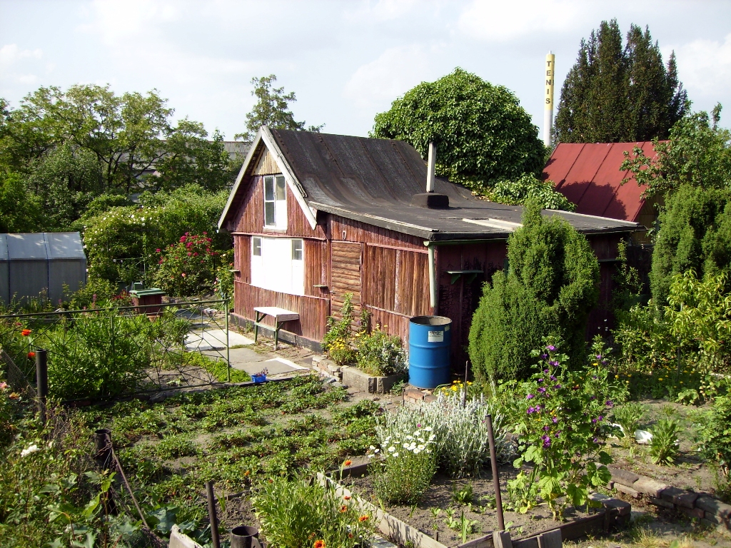 fot. Petr Vilgus/ Wikipedia - grafika artykułu