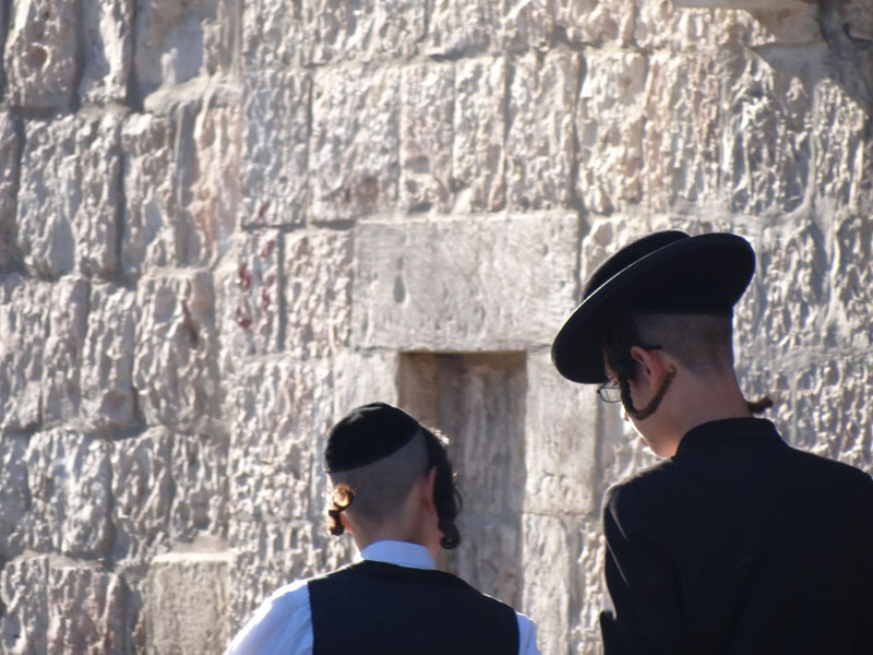 Fot. materiały organizatorów - grafika artykułu