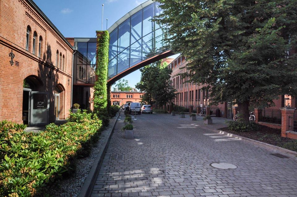 Fot. materiały organizatorów - grafika artykułu