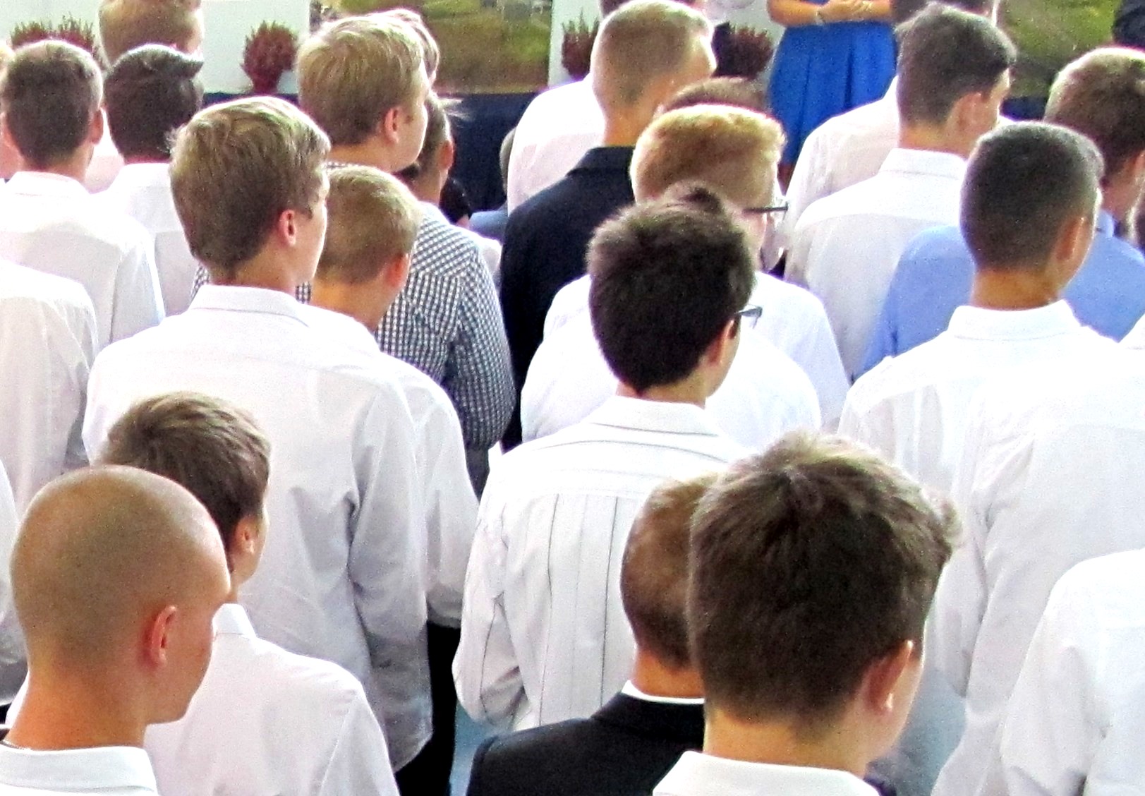 fot. arch - grafika artykułu