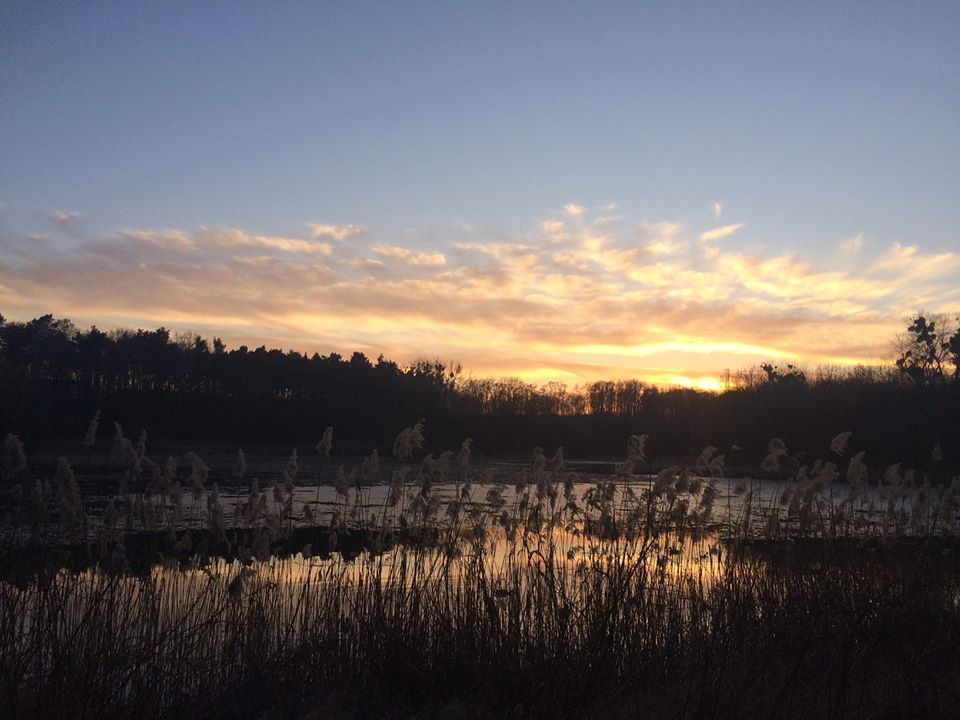 Fot. materiały organizatora - grafika artykułu