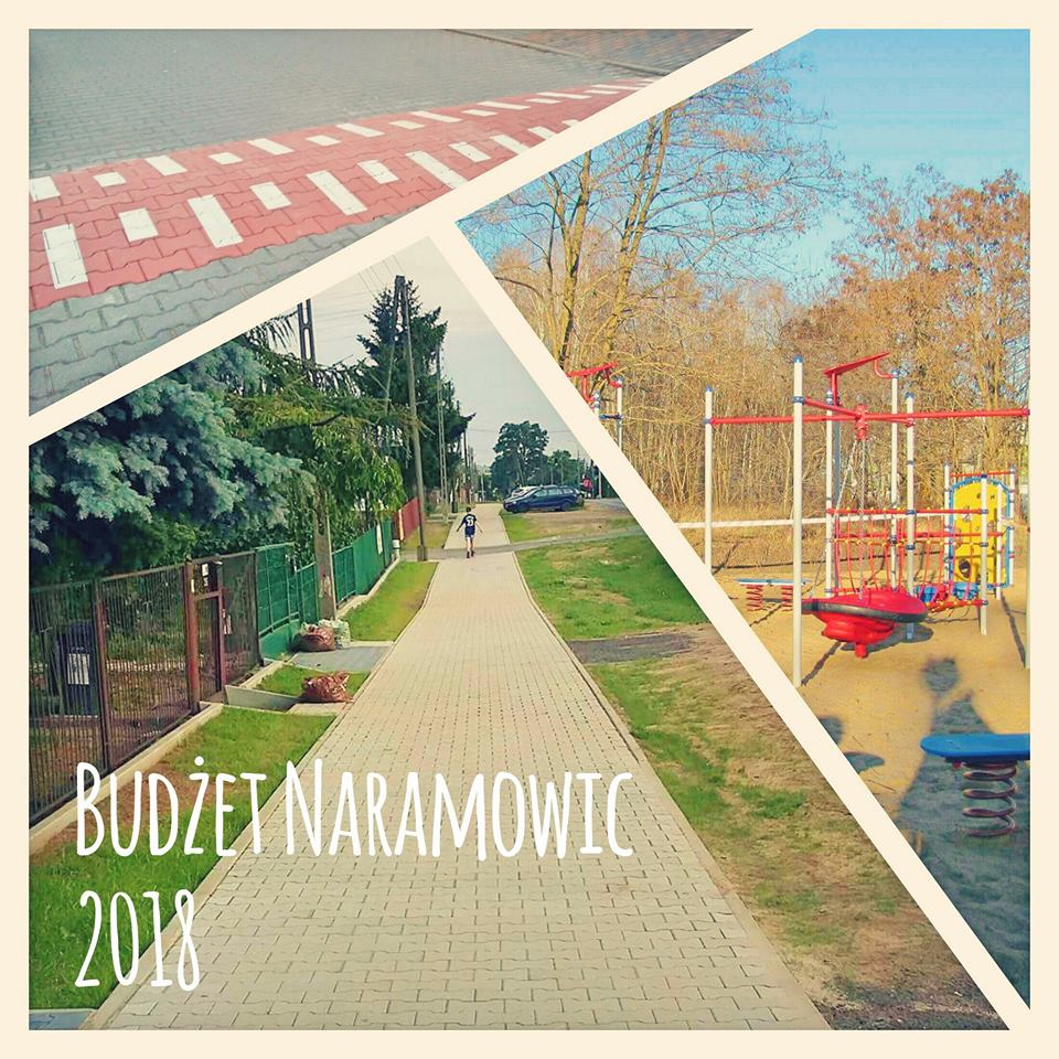 fot. RO Naramowice - grafika artykułu