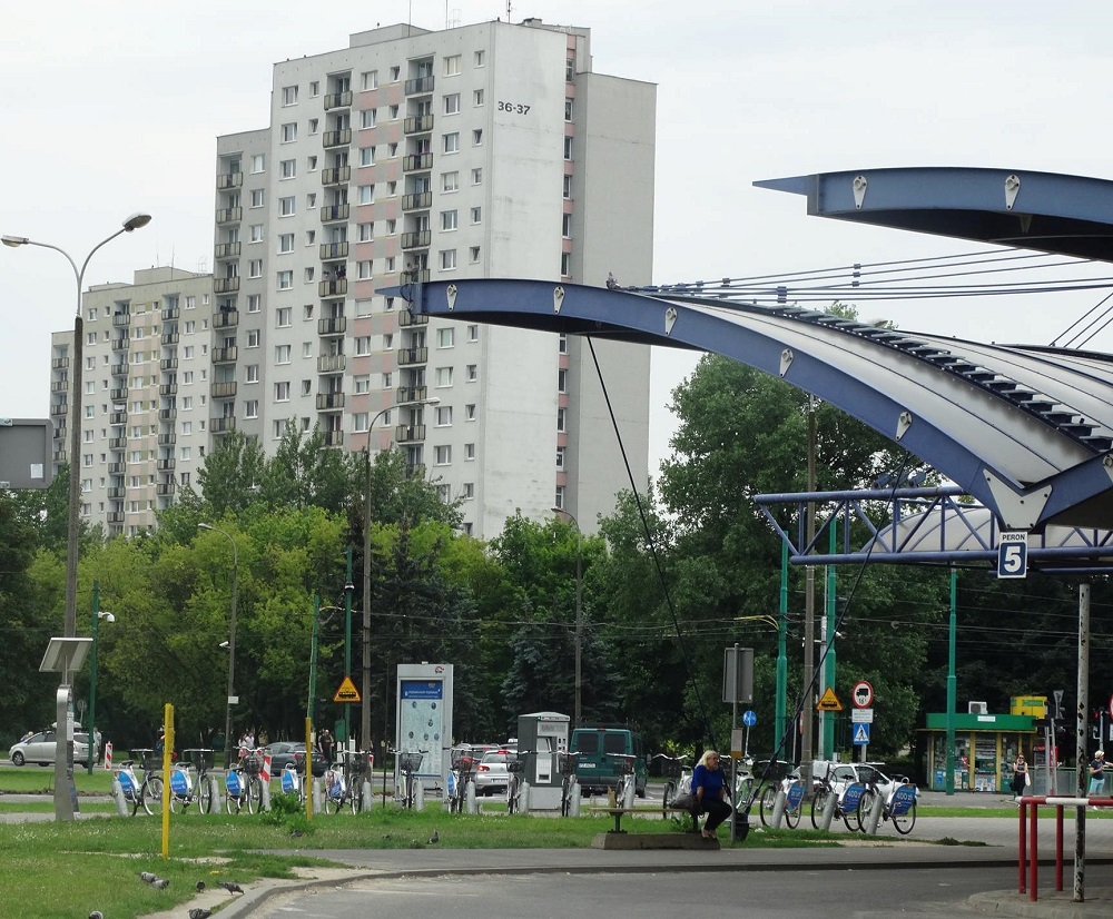Fot. materiały organizatorów - grafika artykułu