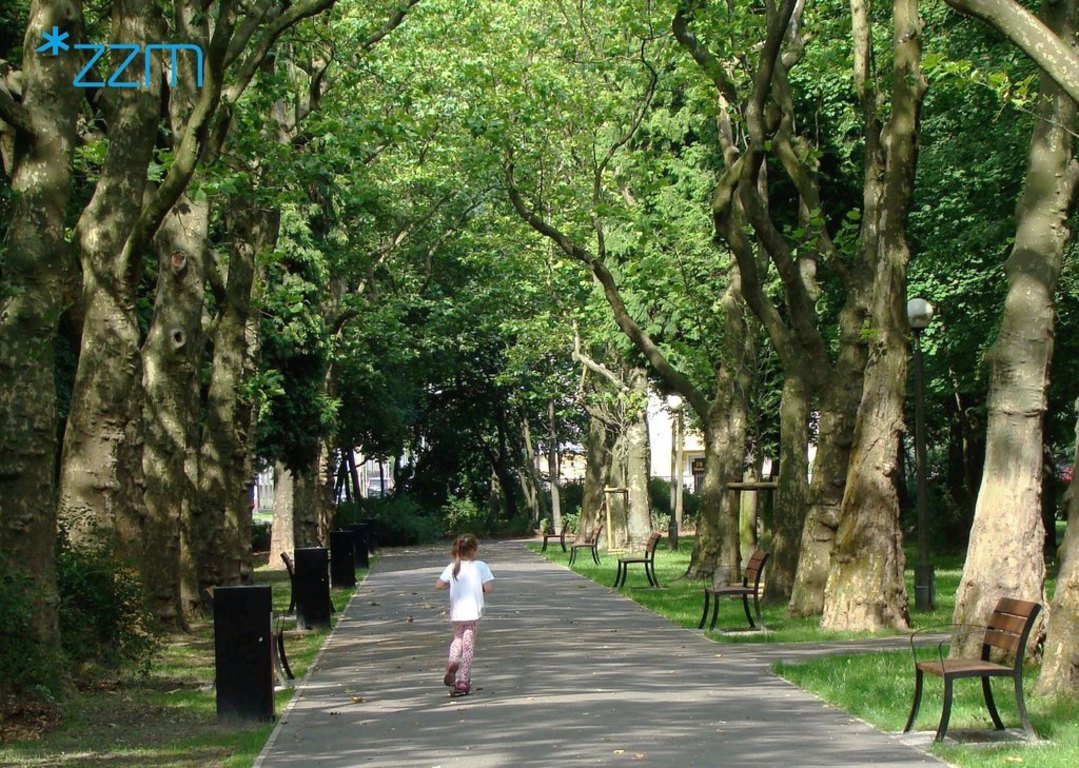 fot. ZZM - grafika artykułu