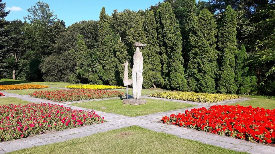 Fot. materiały organizatorów - grafika artykułu