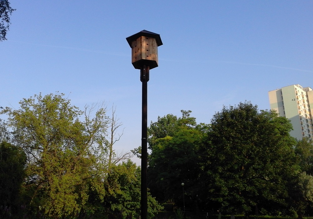 Fot. Mateusz Malinowski - grafika artykułu