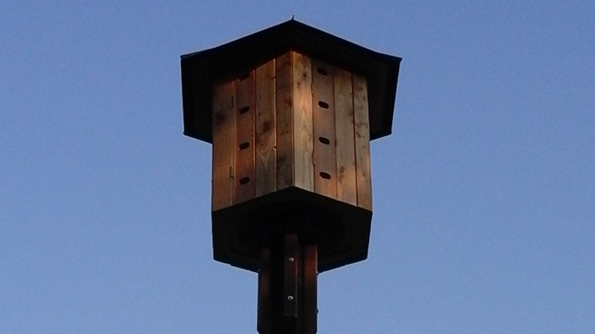 Fot. Mateusz Malinowski