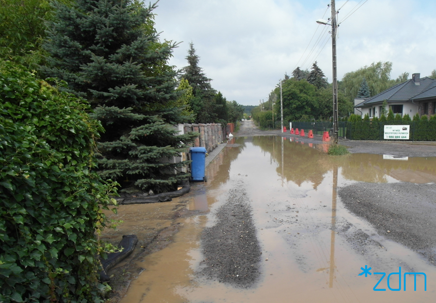 Fot. ZDM - grafika artykułu
