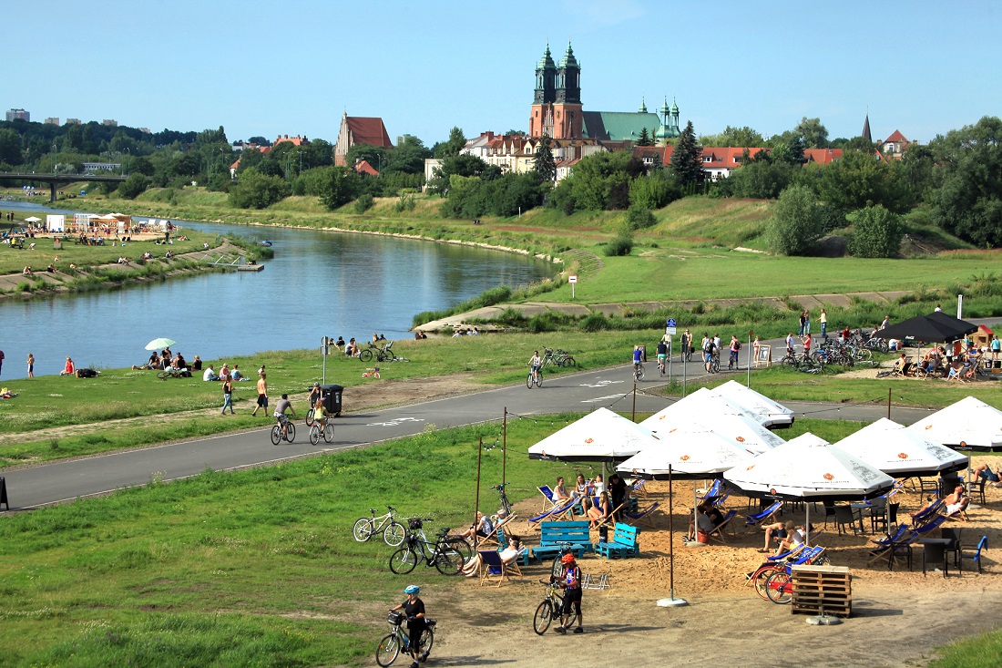 Fot. Zbigniew Szmidt - grafika artykułu