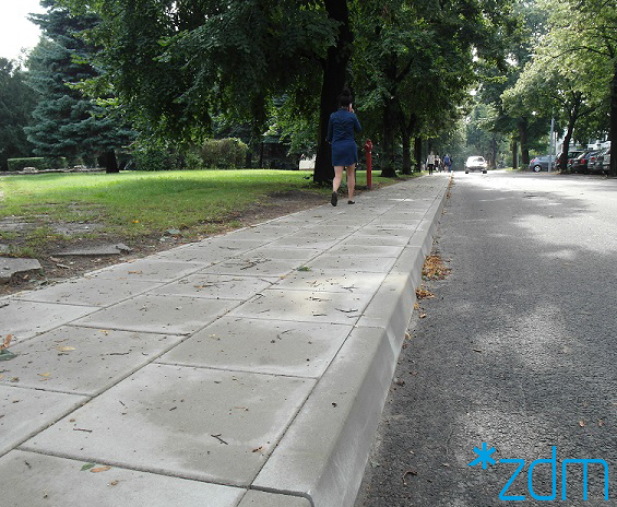 fot. ZDM - grafika artykułu