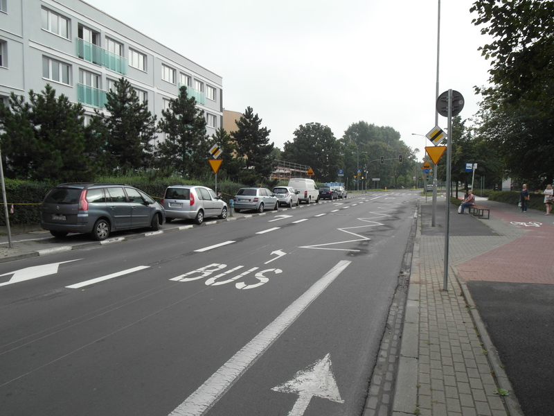 fot. ZDM - grafika artykułu