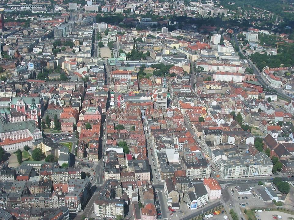 Fot. materiały organizatorów - grafika artykułu