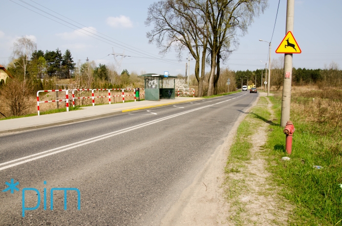 fot. PIM Poznań - grafika artykułu