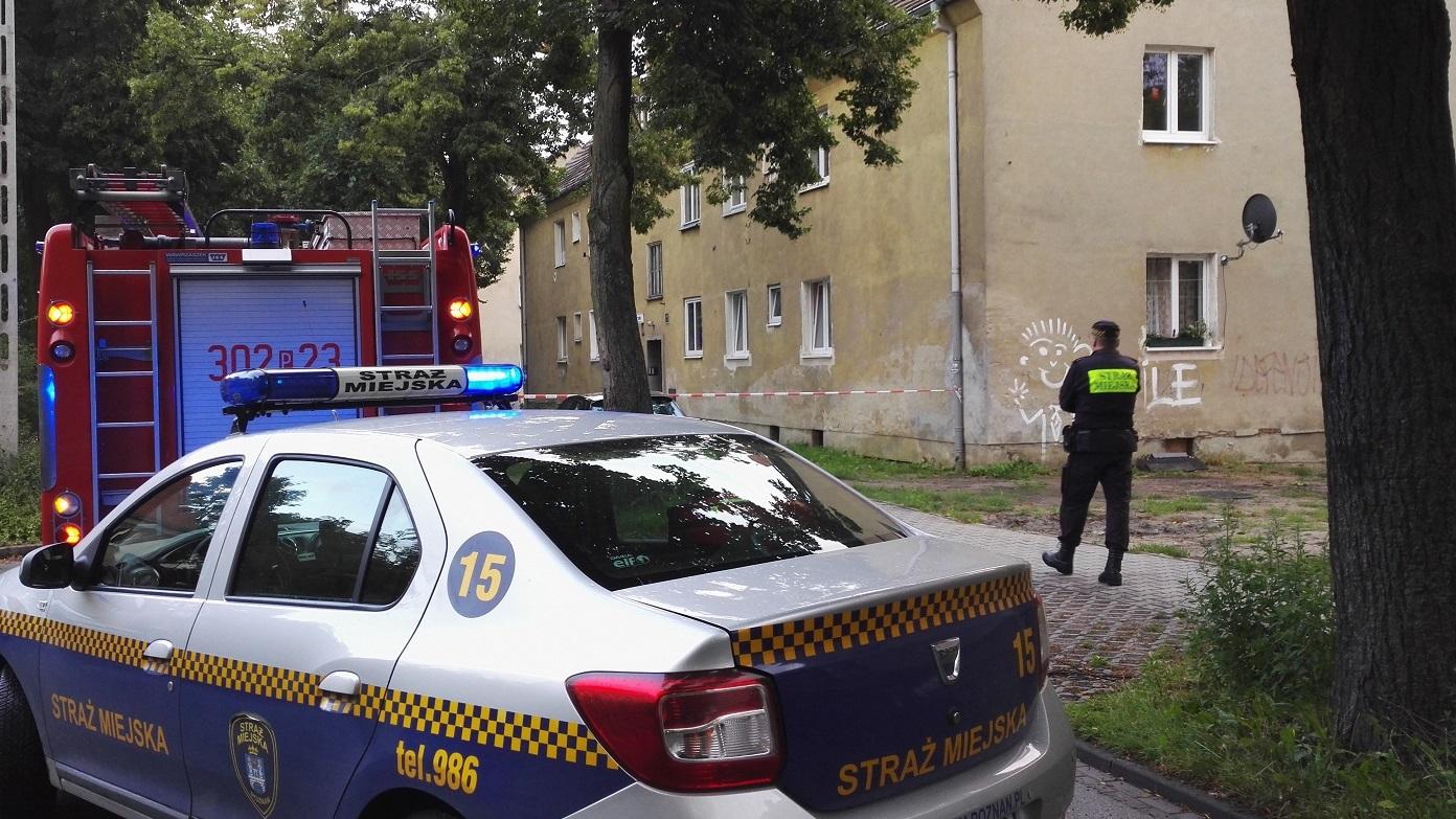 fot. Straż Miejska - grafika artykułu