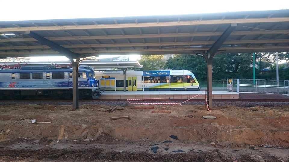 Fot. IdP - grafika artykułu