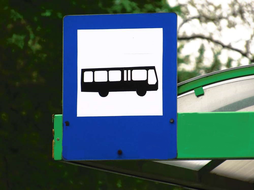 fot. ZTM Poznań - grafika artykułu