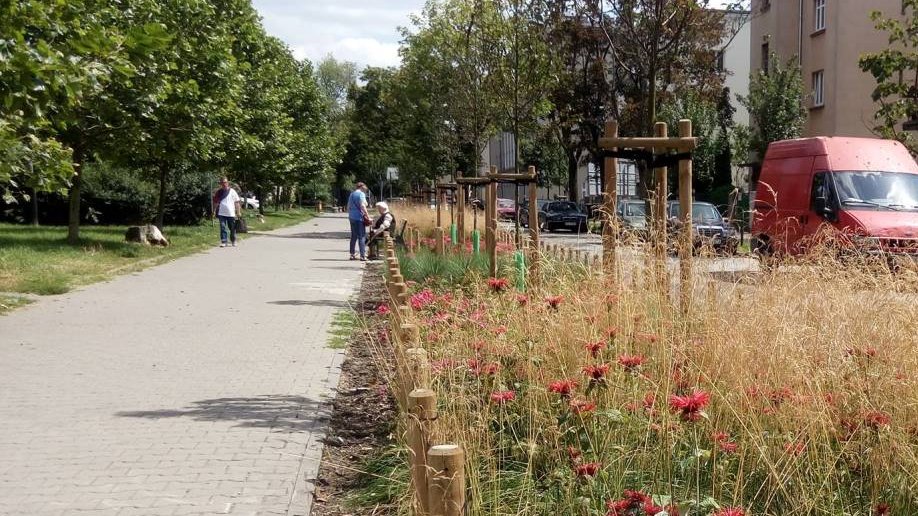 fot. Zieleń przyuliczna Poznania
