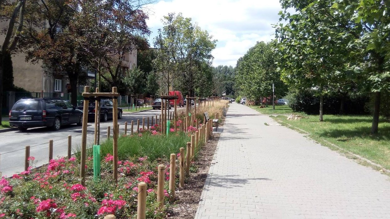 fot. Zieleń przyuliczna Poznania