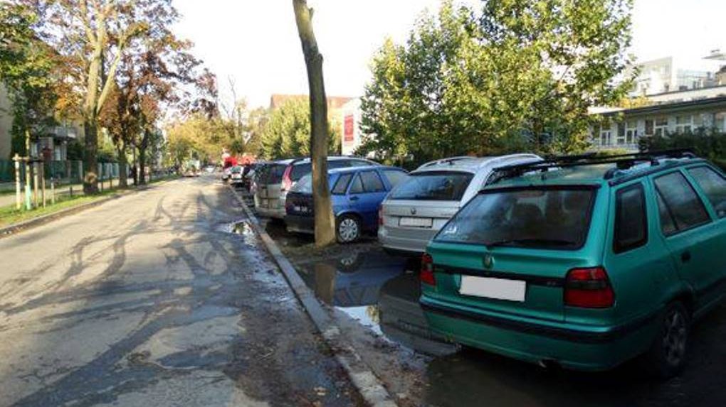 Stan przed realizacją, fot. Zieleń przyuliczna Poznania