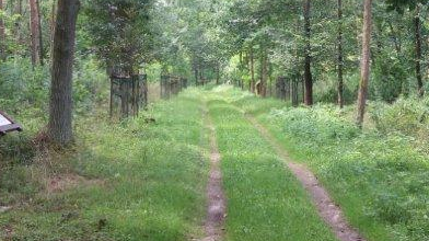 Aleja Filozofów, fot. Witold Gostyński