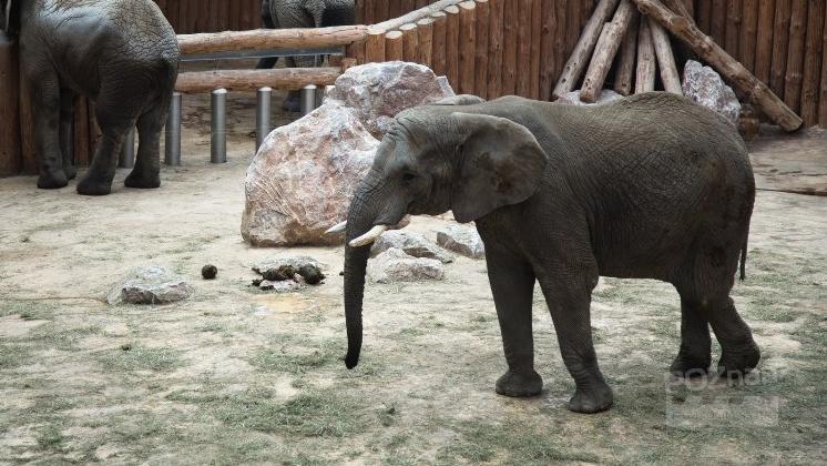 fot. Poznan Film Commission - grafika artykułu