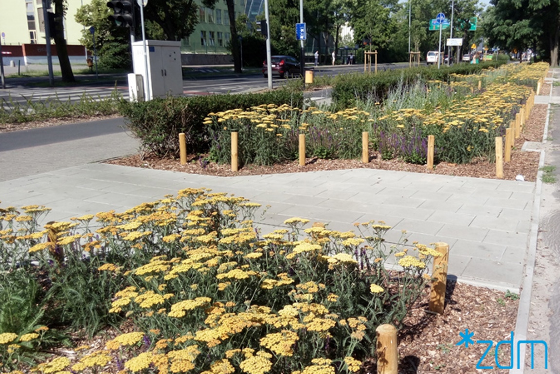 fot. ZDM - grafika artykułu