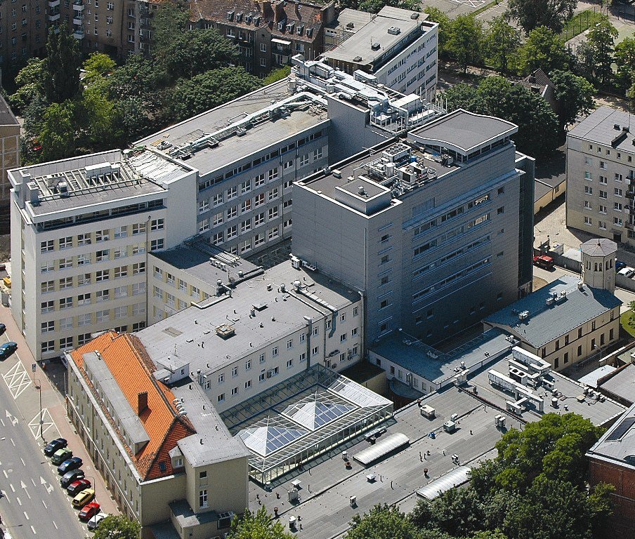 Fot. materiały WCO - grafika artykułu