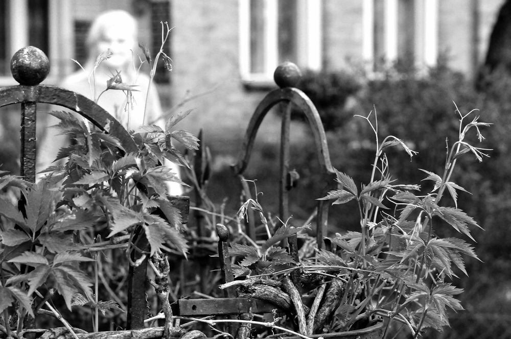 Fot. Łazęga poznańska - grafika artykułu