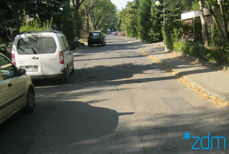 fot. ZDM - grafika artykułu