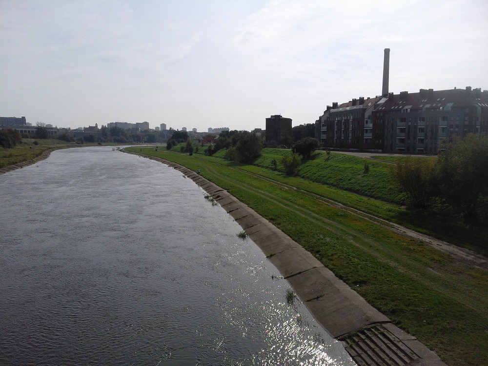 Fot. Mateusz Malinowski - grafika artykułu