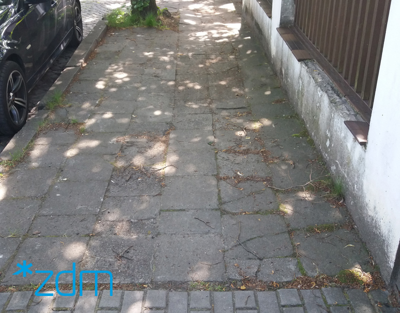 fot. ZDM Poznań - grafika artykułu