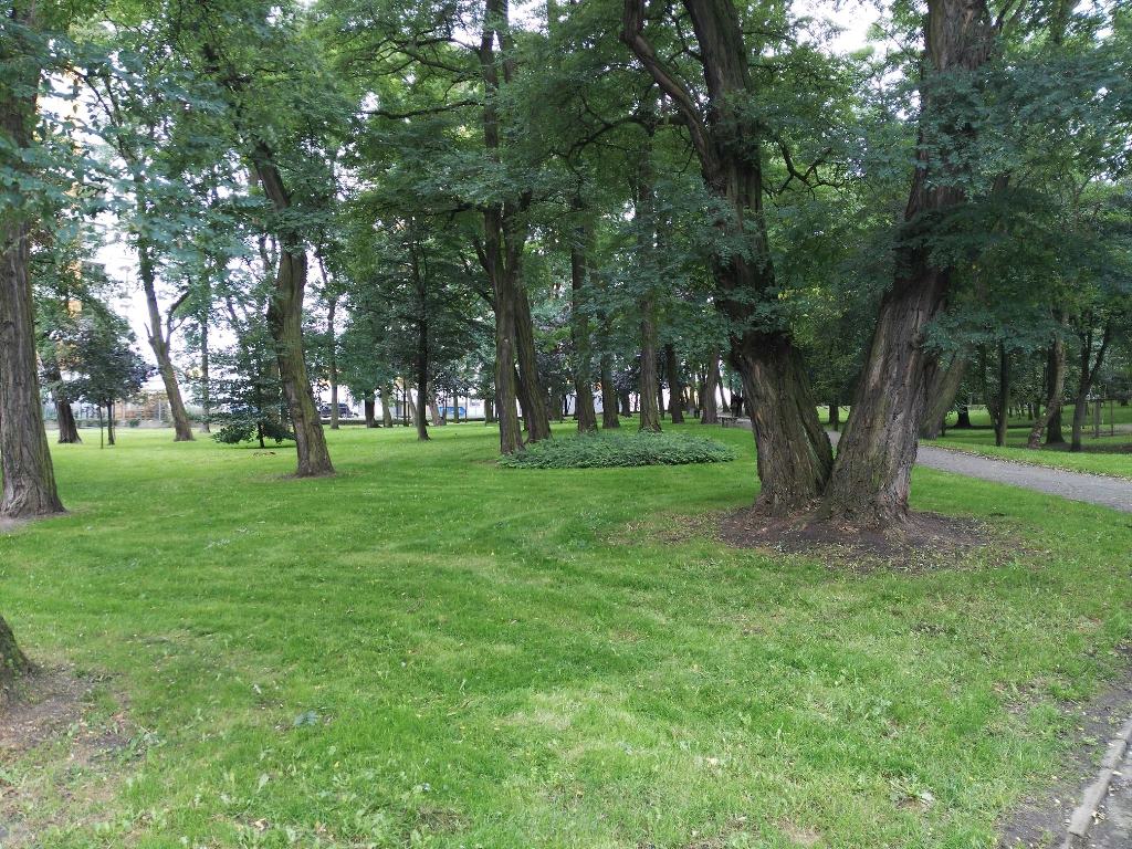 fot. Osiedle Zielony Dębiec - grafika artykułu