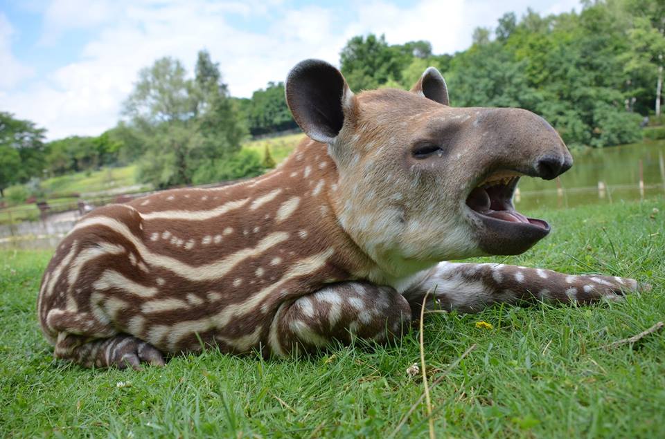 Fot. materiały organizatora - grafika artykułu