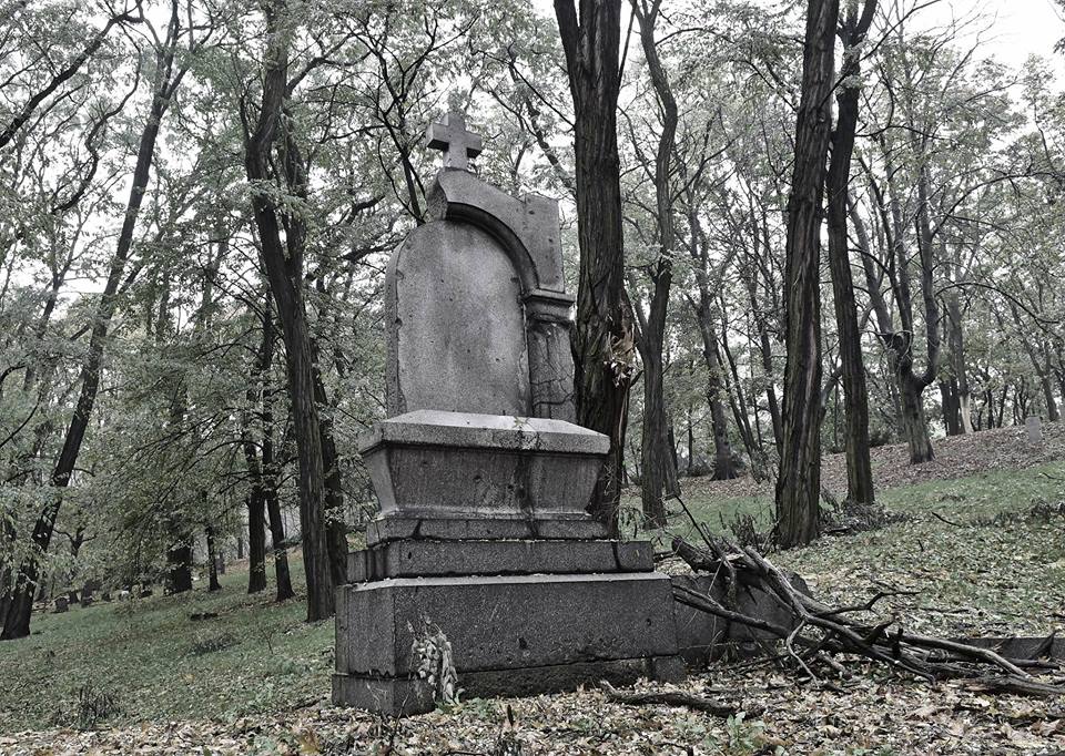 Fot. materiały organizatorów - grafika artykułu