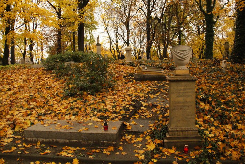 Fot. materiały organizatorów - grafika artykułu