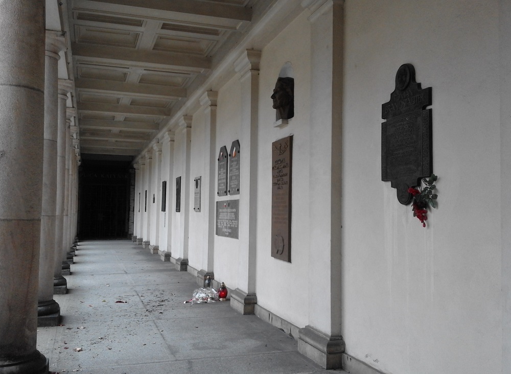 Fot. Mateusz Malinowski - grafika artykułu