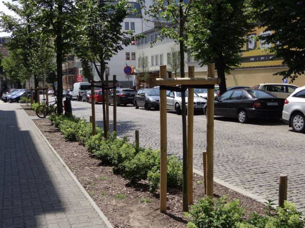 fot. ZDM - grafika artykułu