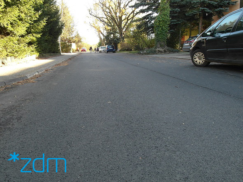 fot. ZDM - grafika artykułu