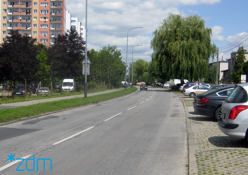 fot. ZDM - grafika artykułu