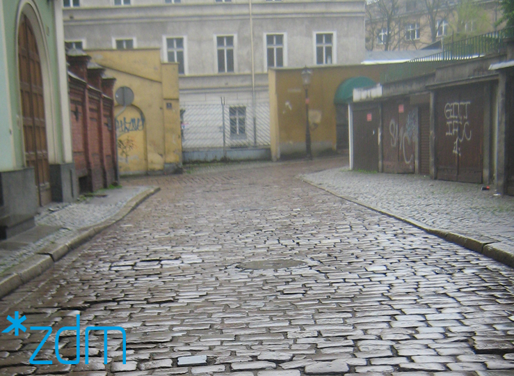 fot. ZDM - grafika artykułu