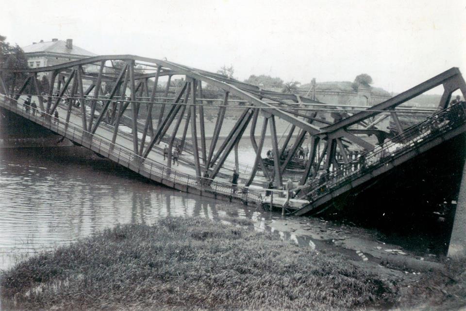 Fot. materiały organizatorów - grafika artykułu