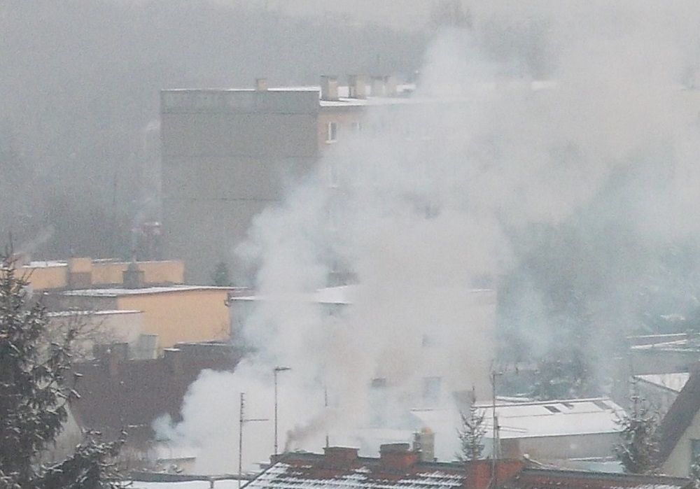 Fot. Urząd Miasta Poznania - grafika artykułu