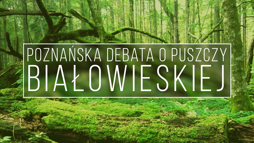 Fot. materiały organizatorów - grafika artykułu